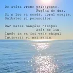Paoni & By Solid Butoaie * Mamaia