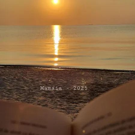 Paoni & By Solid Butoaie *