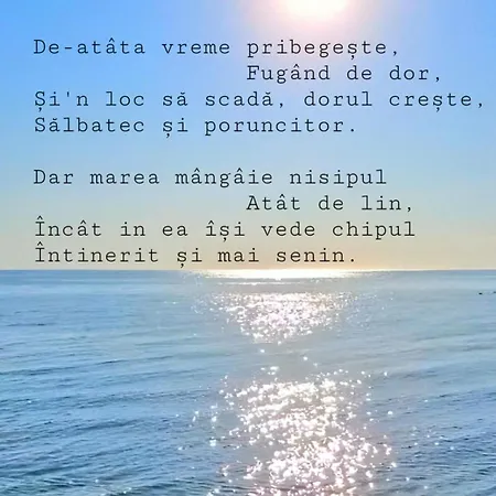 Paoni & By Solid Butoaie * Mamaia